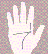  48