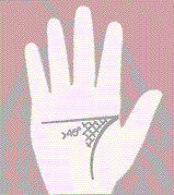  60