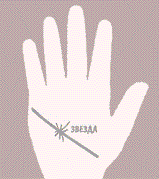  26