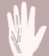  32