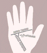  36