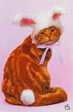 Новогодний кот Новогодний кот