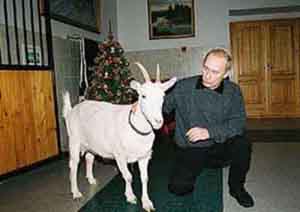 Коза и Путин
