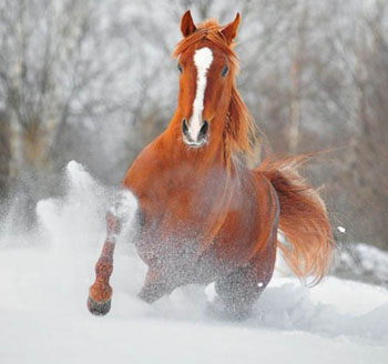 ������ 2