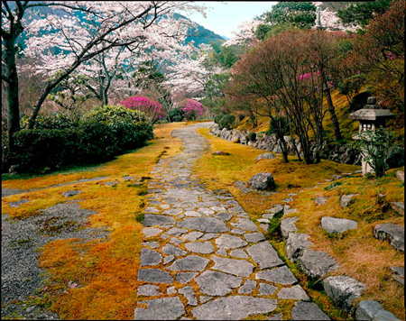 Дорожка в японском саду