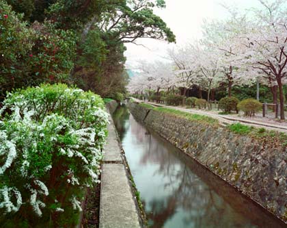 Канал в японском парке